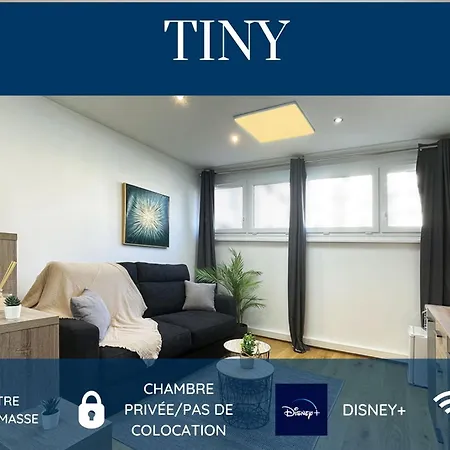 Homey Tiny - Privee - Situee En Hyper-centre - Et Wifi Inclus - Sans Sdb - Proche De Geneve Et Des Transports En Commun Annemasse